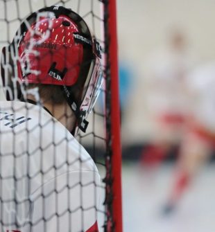 SM-finalen i innebandy är årets mest efterlängtade händelse för alla innebandyentusiaster