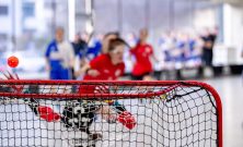 [SVERIGE INNEBANDY DAMER: EN GRUNDLIG ÖVERSIKT]