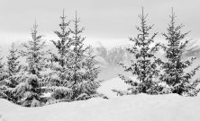 Skidor alpint: En grundlig översikt över en populär vintersport