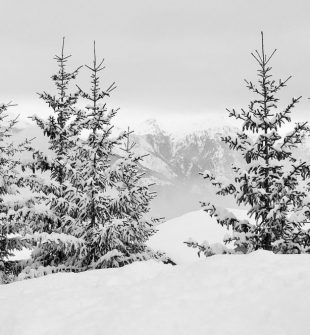 Skidor alpint: En grundlig översikt över en populär vintersport