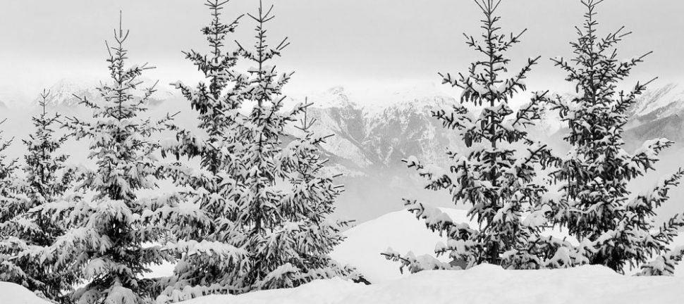 Skidor alpint: En grundlig översikt över en populär vintersport