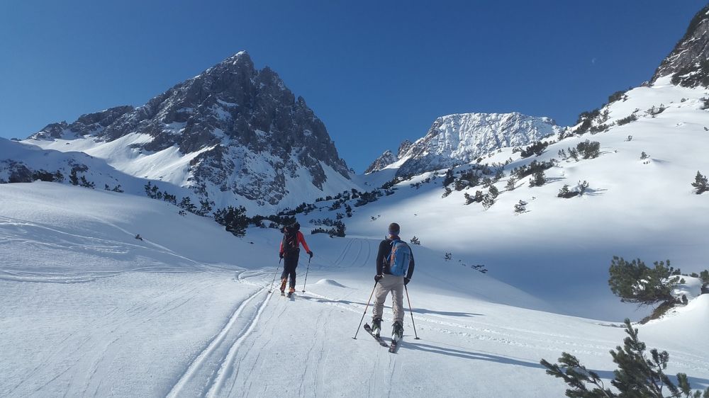 En grundlig översikt av alpina skidor