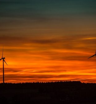 Långlopp skidor - En djupdykning i den populära vintersporten