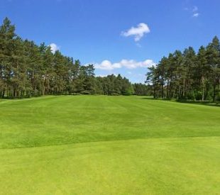 Golf i Stockholm - En omfattande guide för golfälskare
