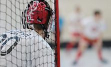 Växjö innebandy: En översikt av sporten och dess variationer