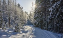 Valla skidor själv: En komplett guide för skidentusiaster